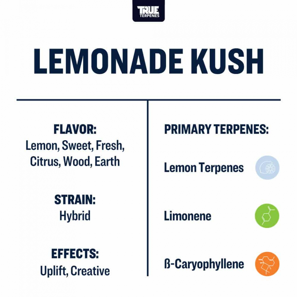 True Terpenes Lemonade Kush