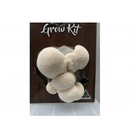 Ready To Grow Kit - Lions Mane