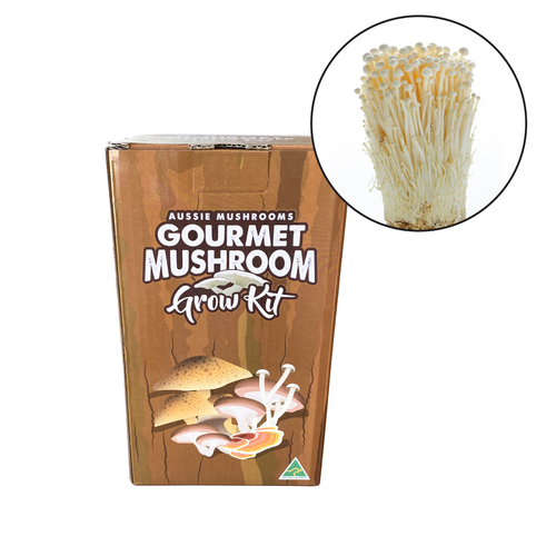 Aussie Mushroom - Ready To Grow Kit - Enoki 