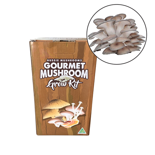 Aussie Mushroom - Ready To Grow Kit - Grey Oyster