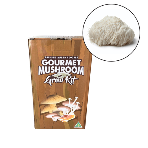 Aussie Mushroom - Ready To Grow Kit - Lions Mane