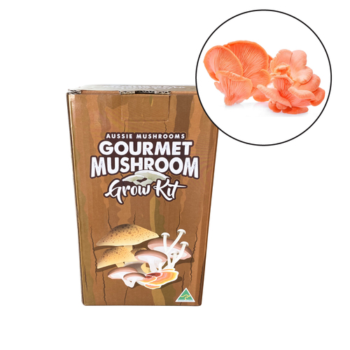 Aussie Mushroom - Ready To Grow Kit - Pink Oyster (Warm Climate)