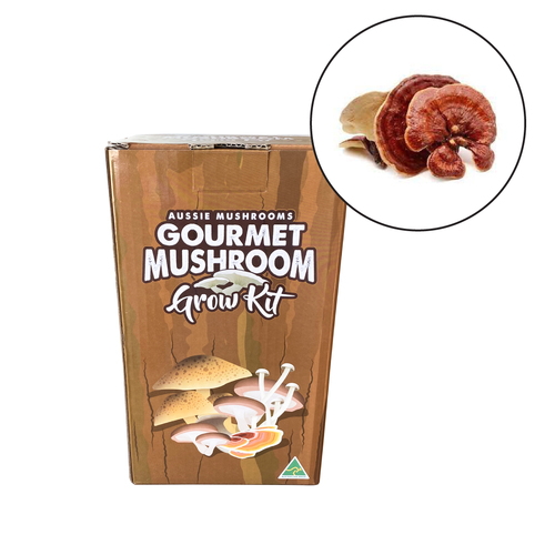 Aussie Mushroom - Ready To Grow Kit - Reishi