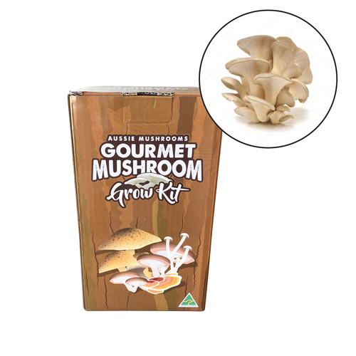 Aussie Mushroom - Ready To Grow Kit - White Oyster