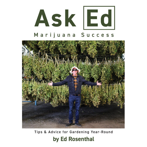 Ask Ed Marijuana Success