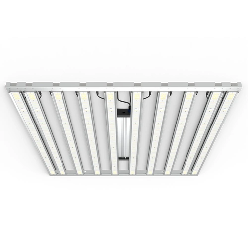 Grand Master LED (GML) Tarantula Tent Ultimate (5x5) 1000W
